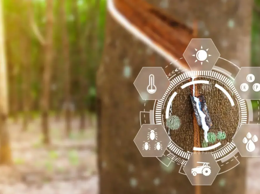 Life Cycle Assessment (LCA) Nedir