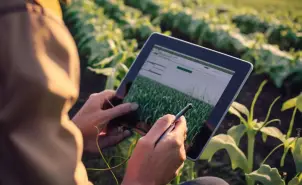 crop-monitoring-2-1-2048×2048 (1) crop-monitoring-2-1-2048x2048 (1)