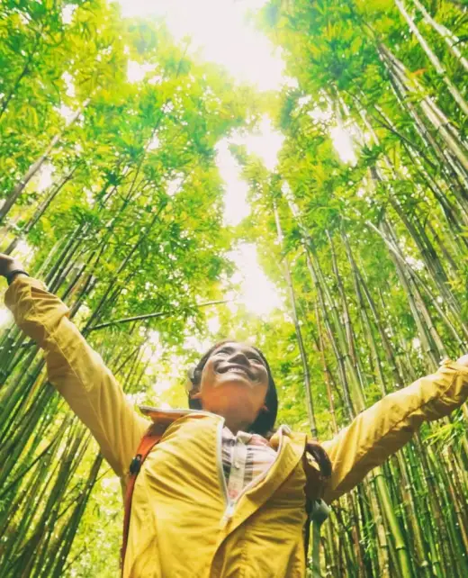 sustainability 4 2048x994 min